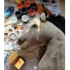 Keppihevonen - Hobby Horse A3 Hiirakko, Pitkä Musta Harja ja Valkoinen Piirto