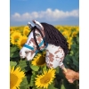 Keppihevonen hobby horse Leopard Black Musta Harja A3