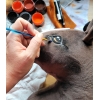 Keppihevonen - Hobby Horse A3 Punaruunikko, Pitkä Musta Harja ja Valkoinen Piirto