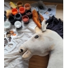Keppihevonen - Hobby Horse A3 Vaalea Hiirakko Hevonen, Musta Harja