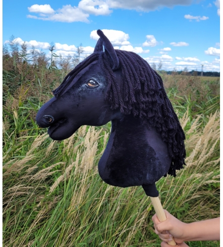 Balck Hobby Horse