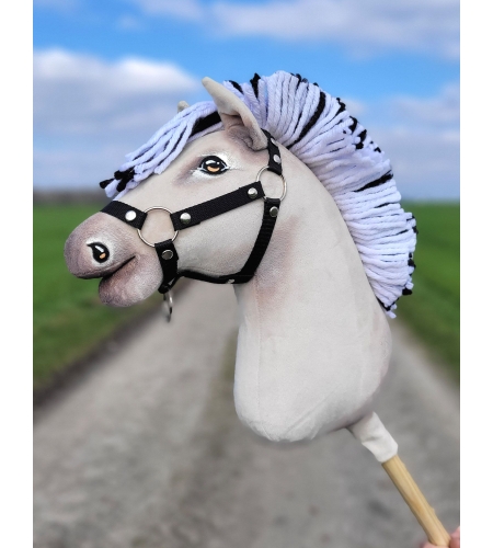 Hobby Horse Fjordhest