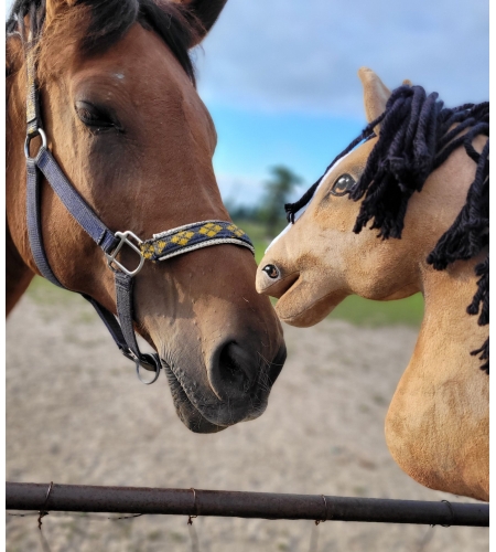 Keppihevonen - Hobby Horse Buckskin A3 Voikko Hevonen, Musta Harja