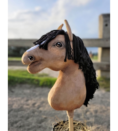 Keppihevonen Voikko Hevonen Buckskin Musta Harja